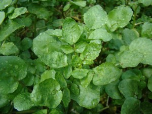 639d2ef7f3ce35f08ff1ed0c4335642a